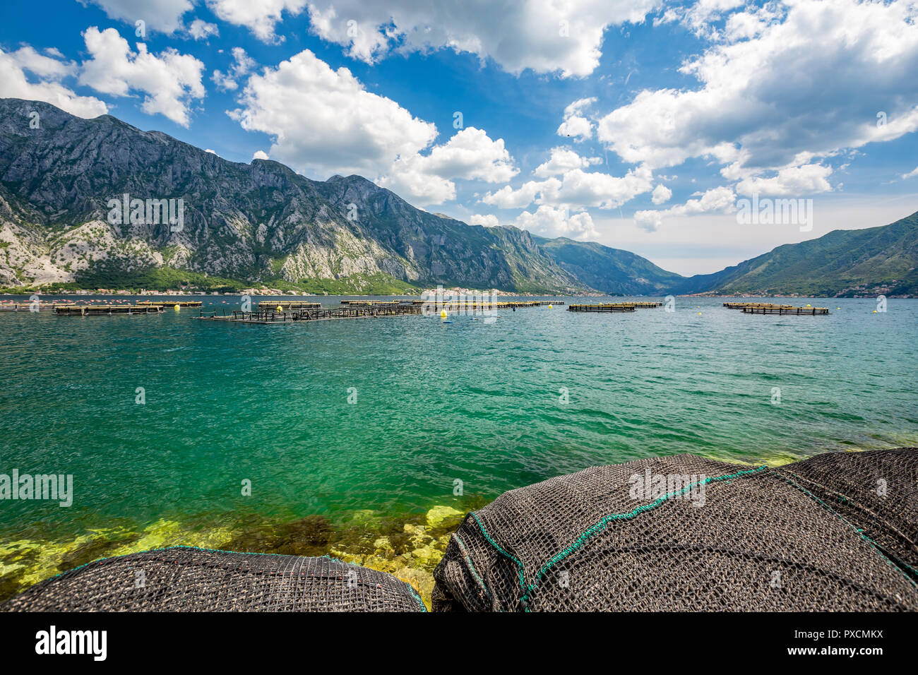 Molla paesaggio diurno degli stagni di pesce presso la Baia di Kotor, Boka Kotorska, vicino alla città di Perast, Montenegro, alcune reti da pesca nella parte anteriore Foto Stock