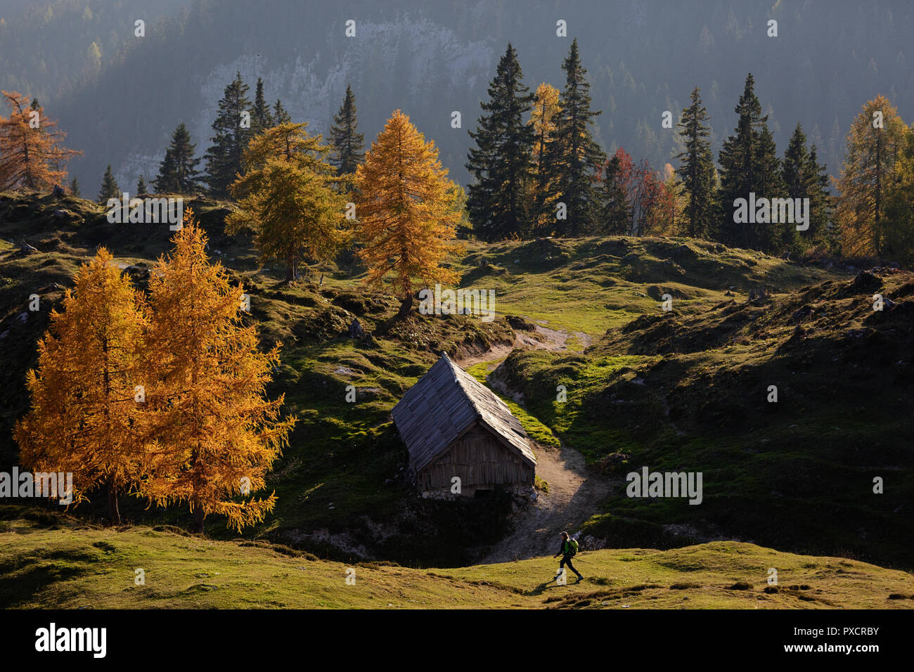 Donna escursionismo sul prato Krstenica al tramonto, sulle Alpi Giulie, Slovenia Foto Stock