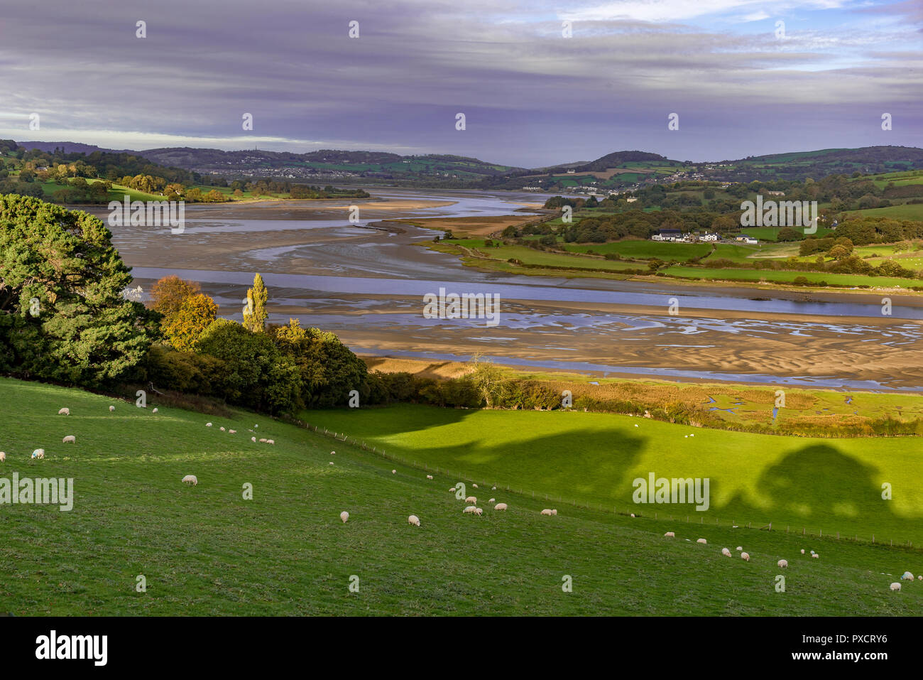 Conwy Valley. Fiume Conwy. Il Galles del Nord. Colori dell'autunno Foto Stock