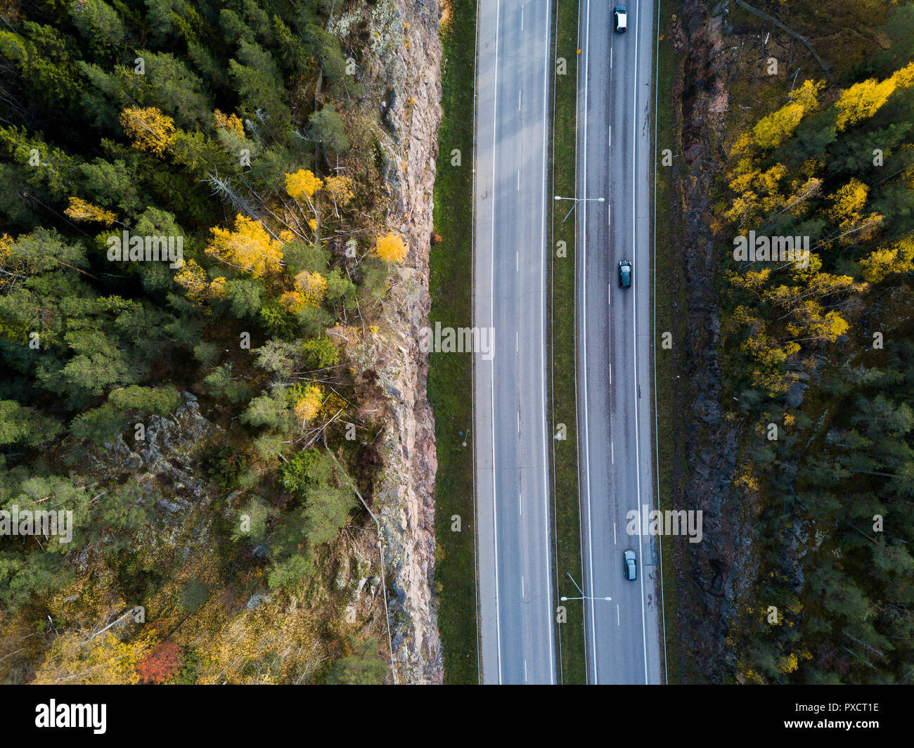 Forrest e autostrada in Finlandia Foto Stock