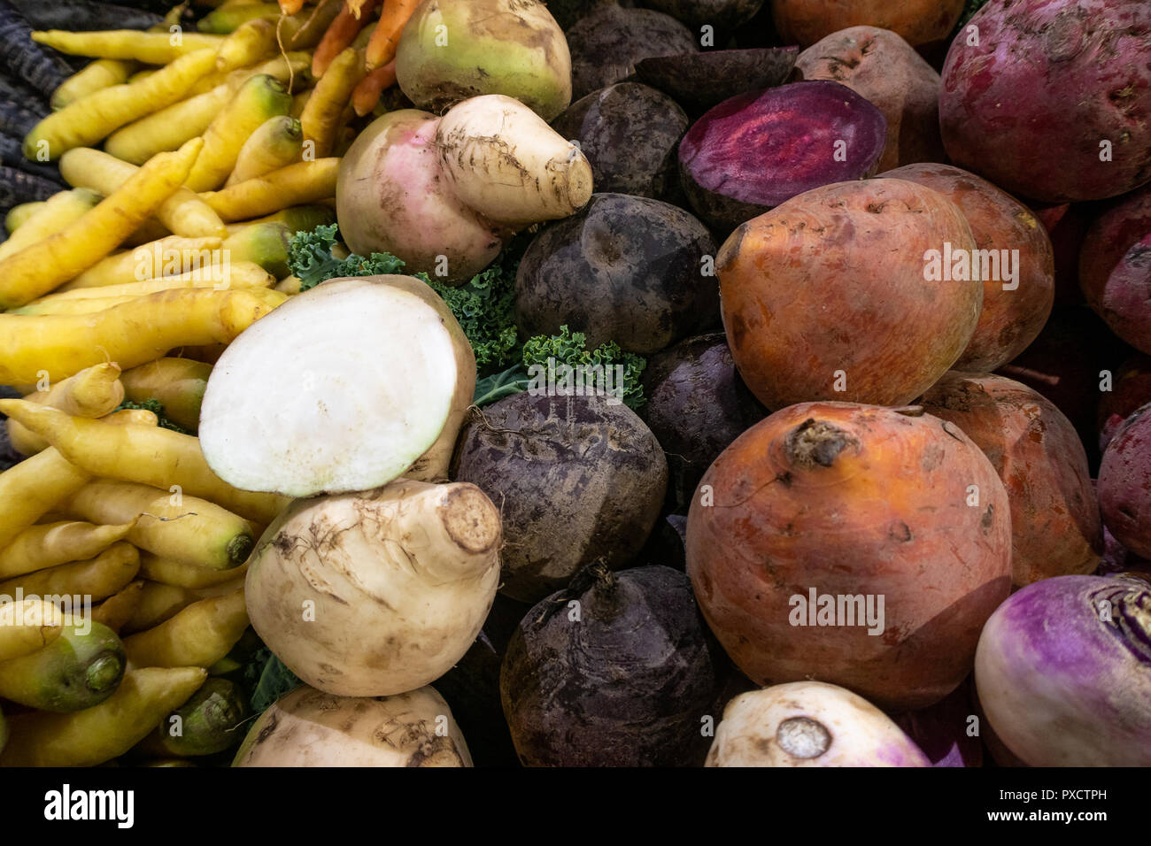 Bietole, rape, carote e altri Veg in London Borough Market, REGNO UNITO Foto Stock