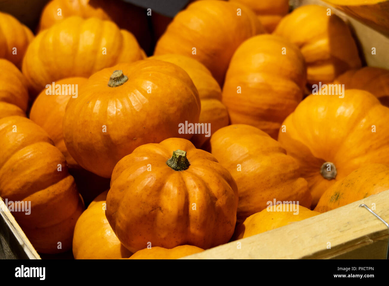 Cassa di zucche di Halloween in London Borough Market, REGNO UNITO Foto Stock