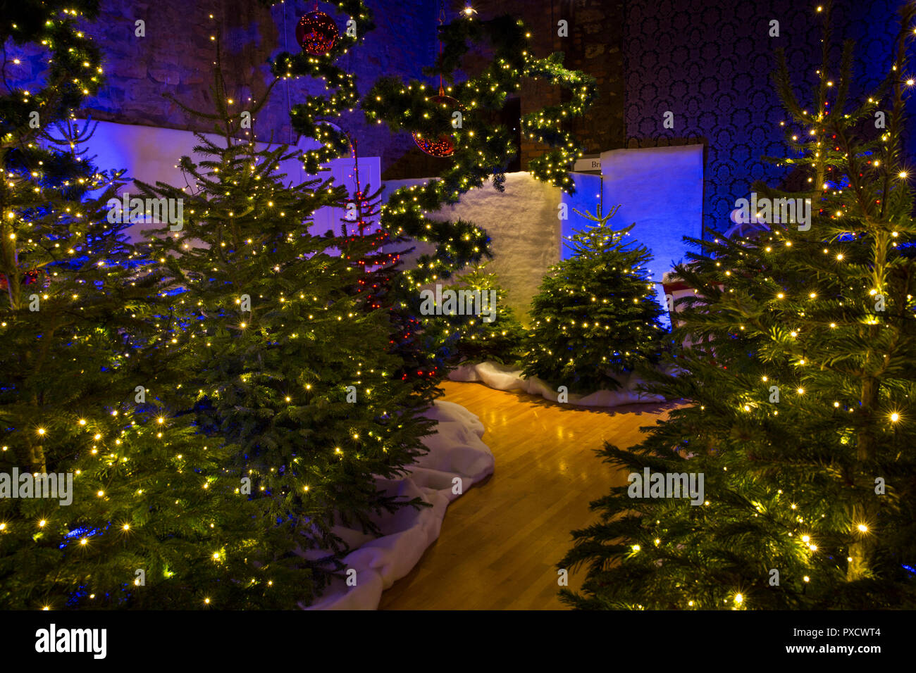 Regno Unito, Inghilterra, Yorkshire, Castle Howard a Natale, Babbo Natale al magico giardino di alberi di Natale grotta riempita Foto Stock