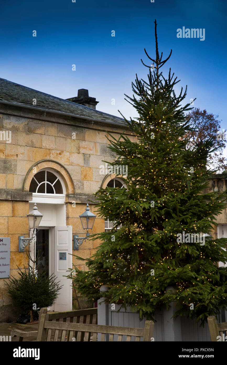 Regno Unito, Inghilterra, Yorkshire, Castle Howard a Natale, maneggio il cortile illuminato, decorate albero di natale Foto Stock