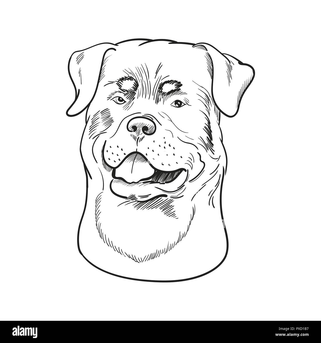 Rottweiler faccia isolati su sfondo bianco. Mano di watchdog bozzetto. Tedesco di razza del cane. Illustrazione Vettoriale