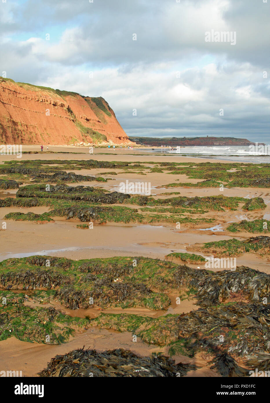 La bassa marea sulla spiaggia di Orcombe Point, Exmouth, Devon, Inghilterra, Regno Unito Foto Stock