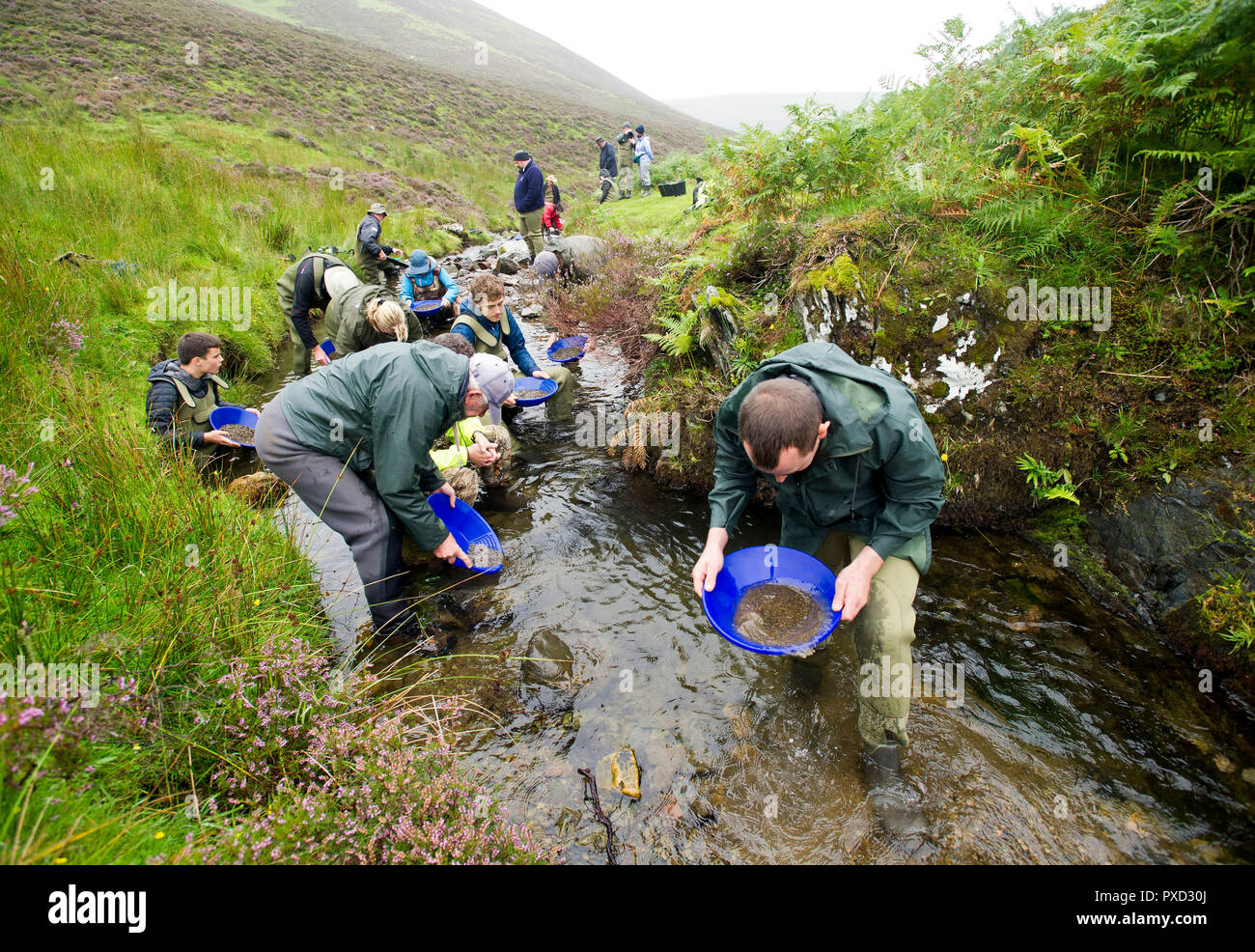 Oro corso di panning per visitatori e turisti sul Mennock acqua vicino Wanlockhead, Scozia. Foto Stock