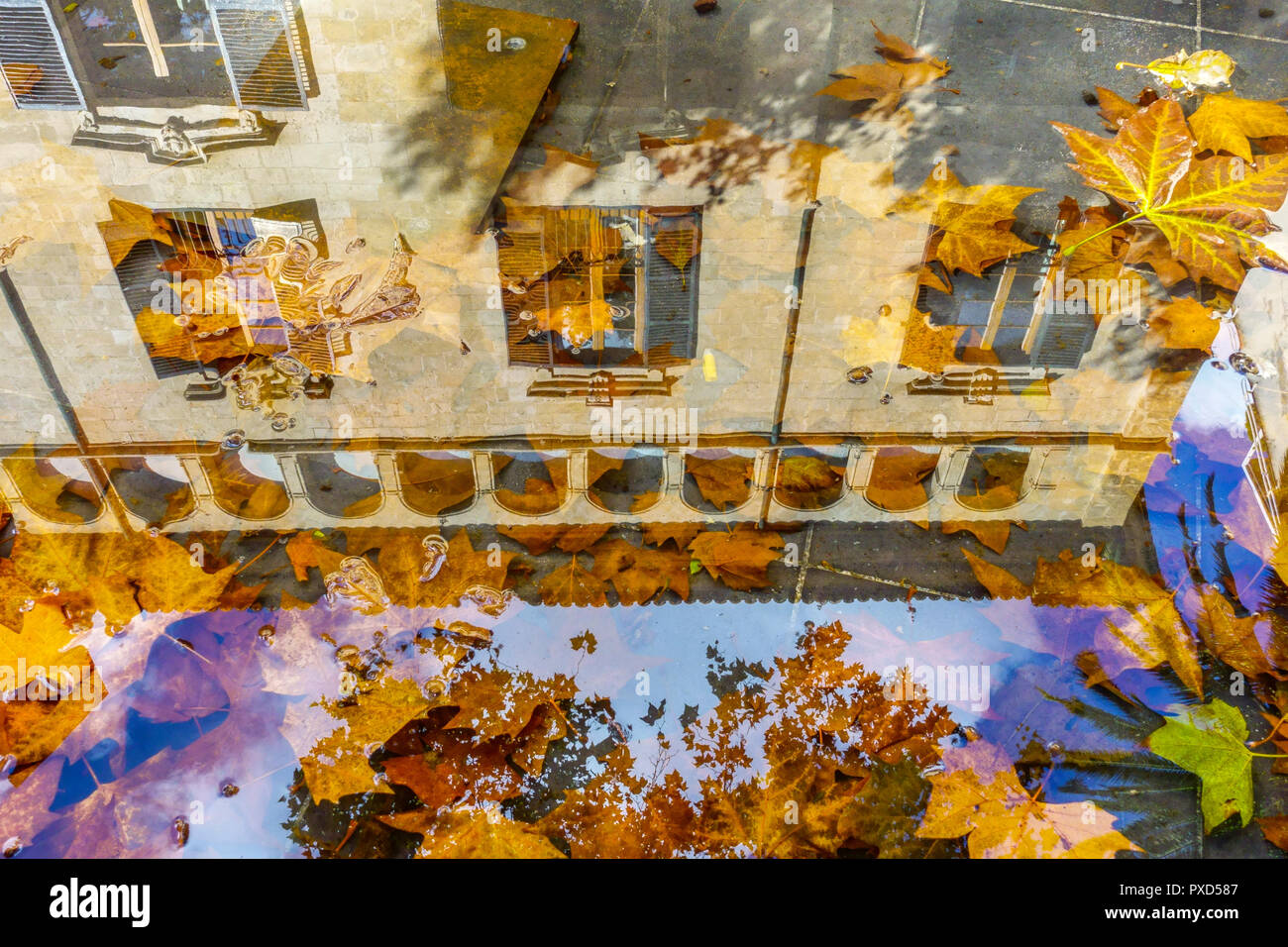 Palma Passeig des Born, foglie e la riflessione di Casa, Palma di Maiorca, Spagna parte sull'acqua autunno, riflessione acqua Foto Stock