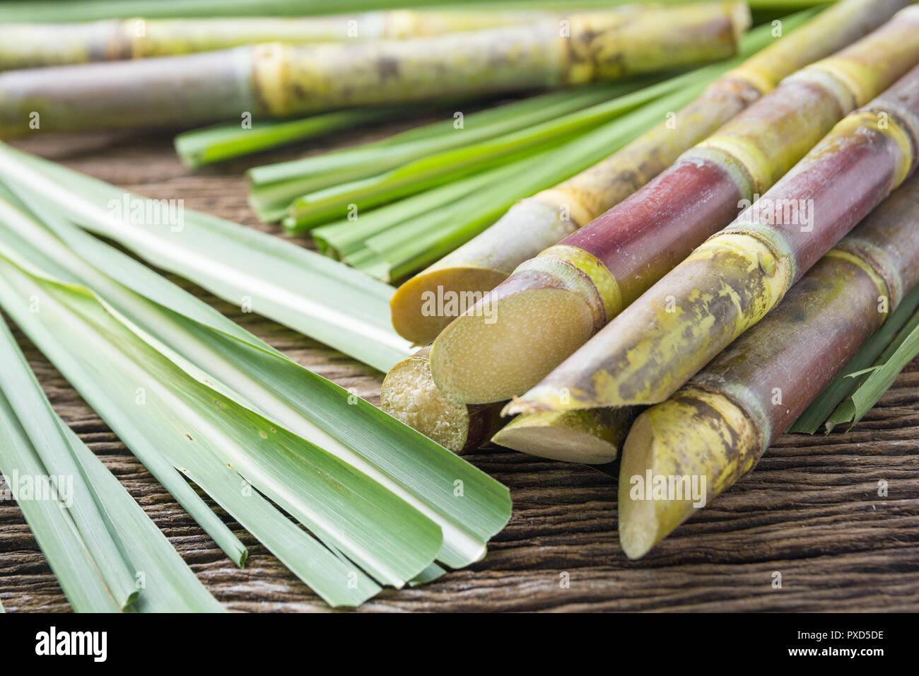 Chiudere la canna da zucchero su uno sfondo di legno vicino fino Foto Stock