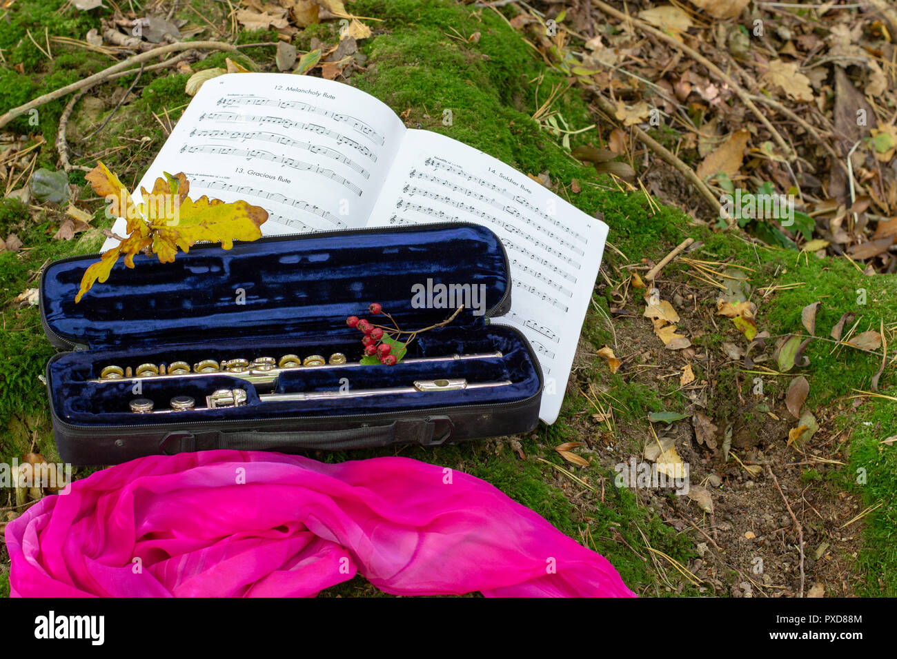 Flauto in foresta, still life Foto Stock