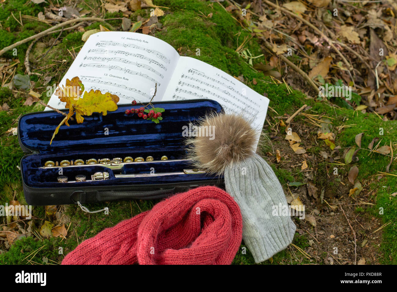 Flauto in foresta, still life Foto Stock