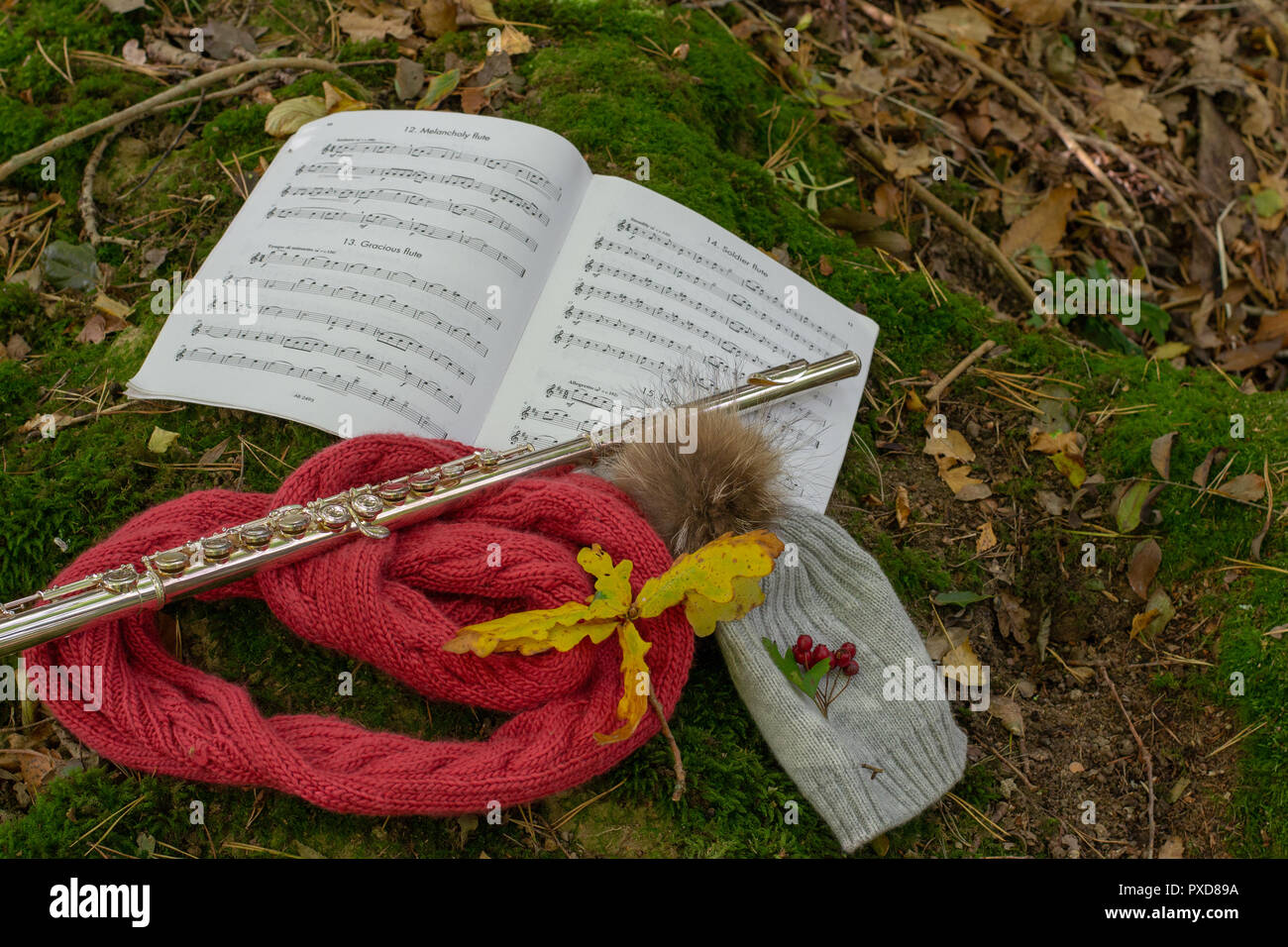 Flauto in foresta, still life Foto Stock