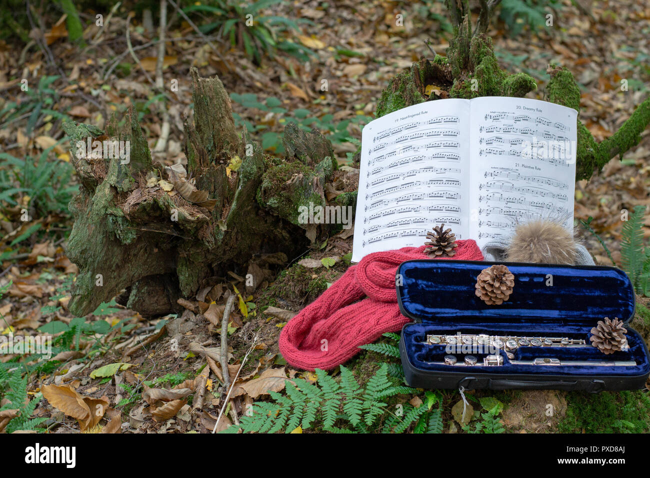 Flauto in foresta, still life Foto Stock