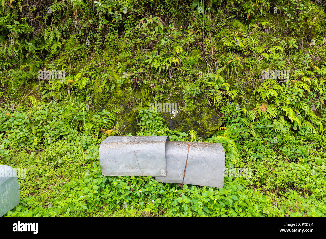 Apiario o l'Apicoltura azienda agricola la strada principale lungo la foresta di montagna la pioggia gronda. Foto Stock