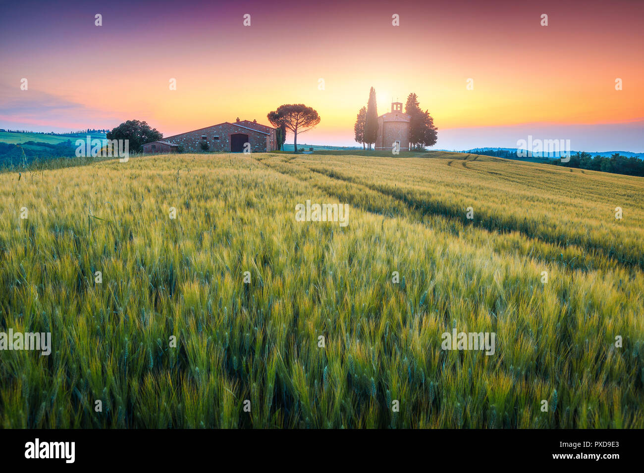 Mozzafiato del paesaggio toscano, carino cappella di Vitaleta (Capella di  Vitaleta) con terreni coltivati e campi di grano, Pienza, Toscana, Italia,  Europa Foto stock - Alamy