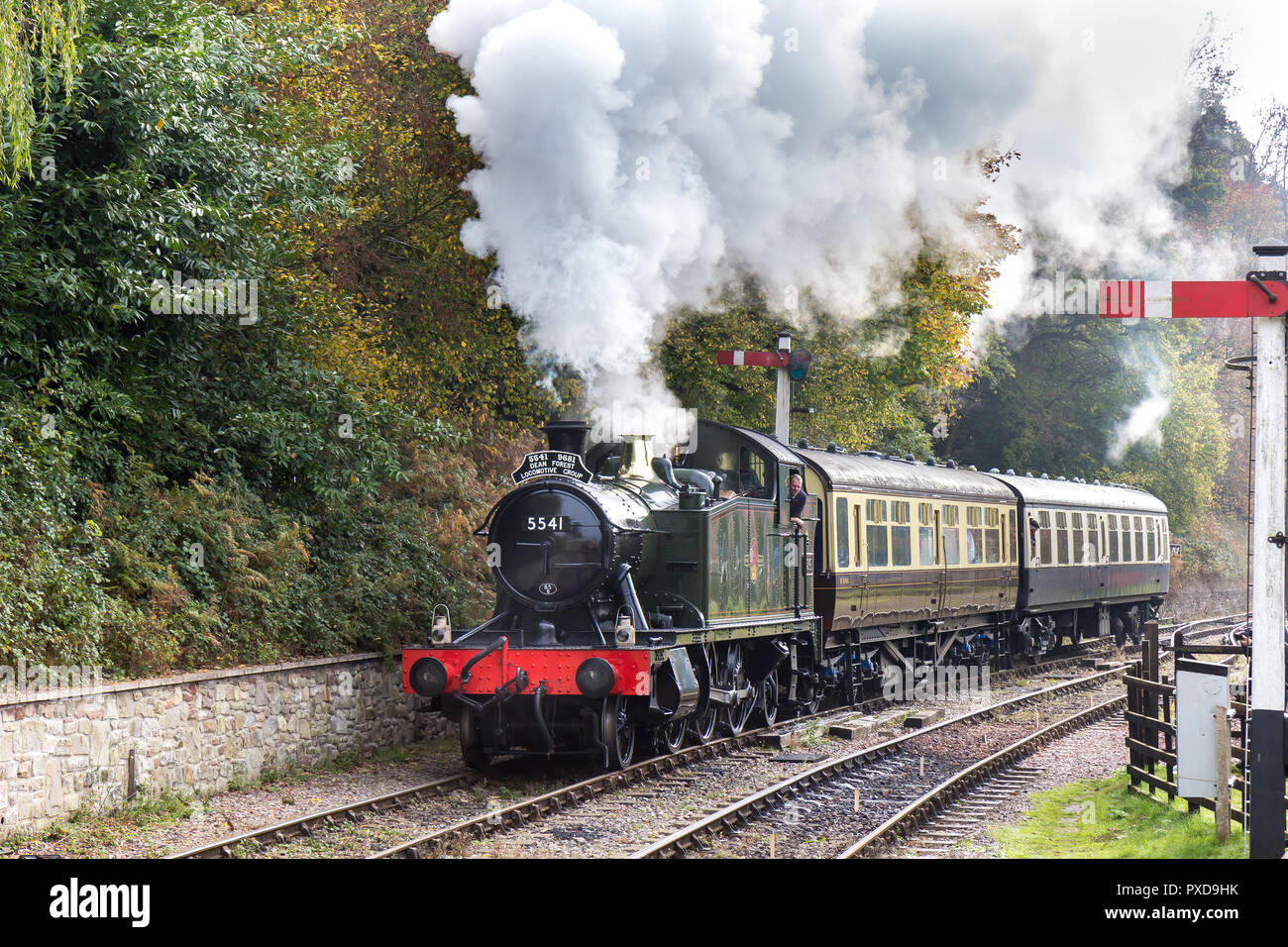 Treno a vapore viaggio nella Foresta di Dean, nel Gloucestershire. Foto Stock
