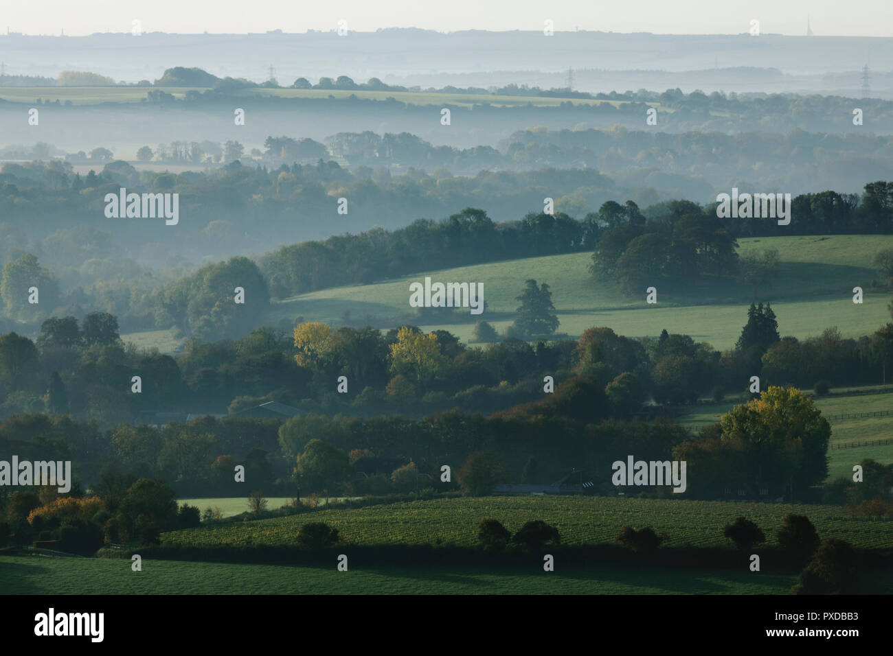 Nebbia di mattina si blocca nelle valli del South Downs National Park in una mattina autunnale, vicino a vescovi Waltham, Hampshire, Regno Unito Sabato 20 Ottobre, 2018 Foto Stock