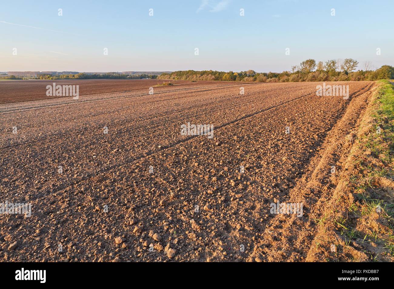 Campo Agircutural in fine la luce solare Foto Stock