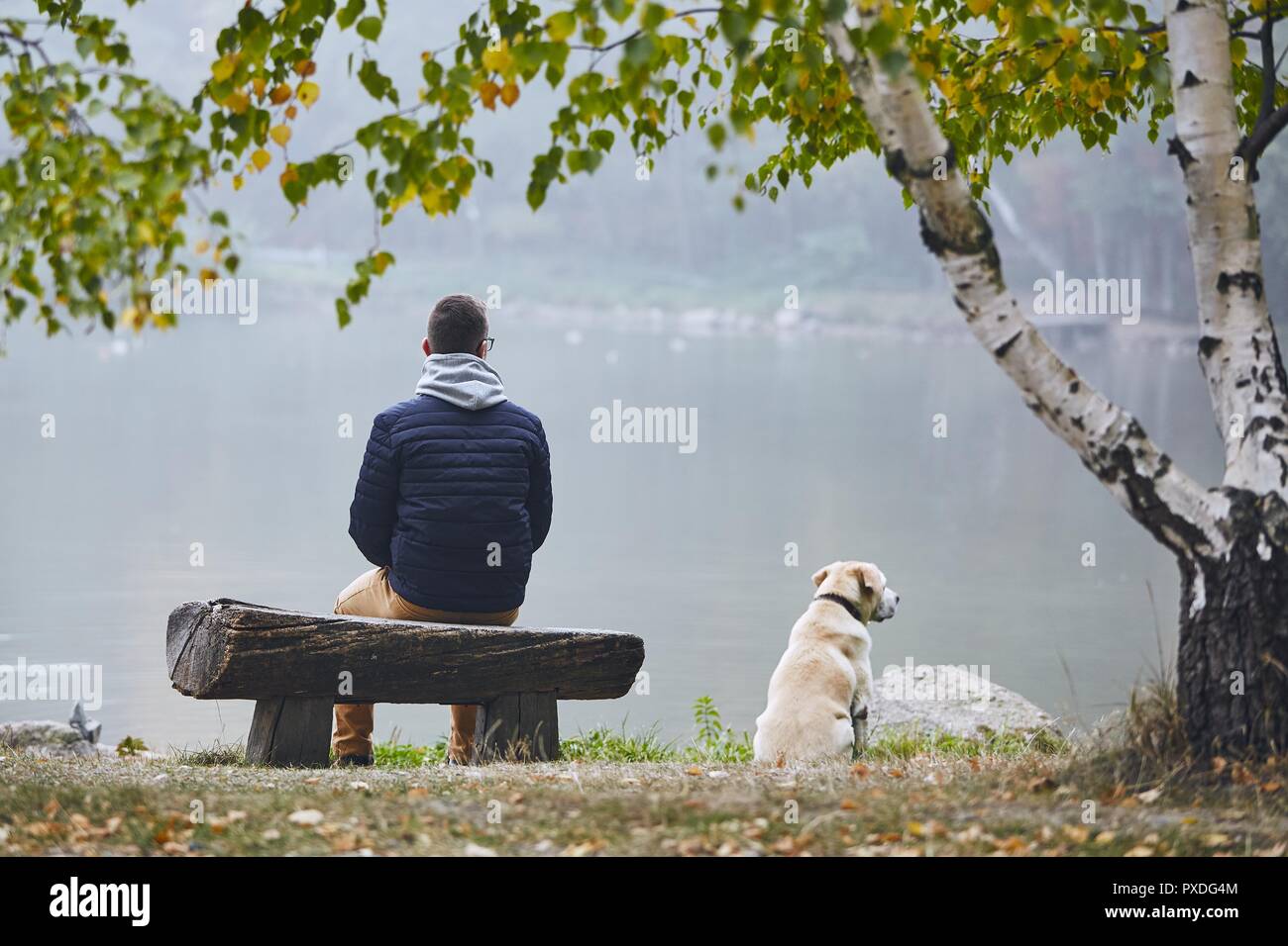 Malinconici Uomo con cane è contemplazione sul banco di legno vicino al laghetto in autunno la natura. Foto Stock