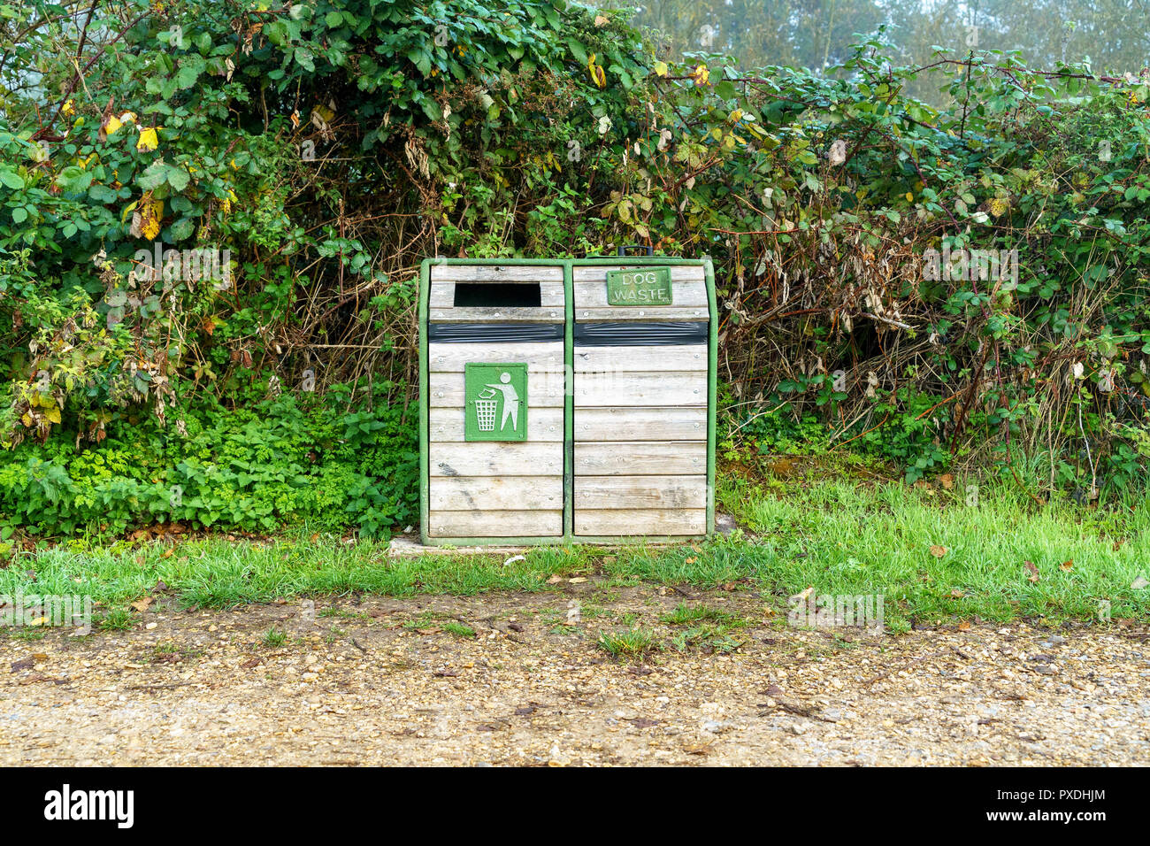 Cane combinato dei rifiuti in generale e di spazzatura Foto Stock