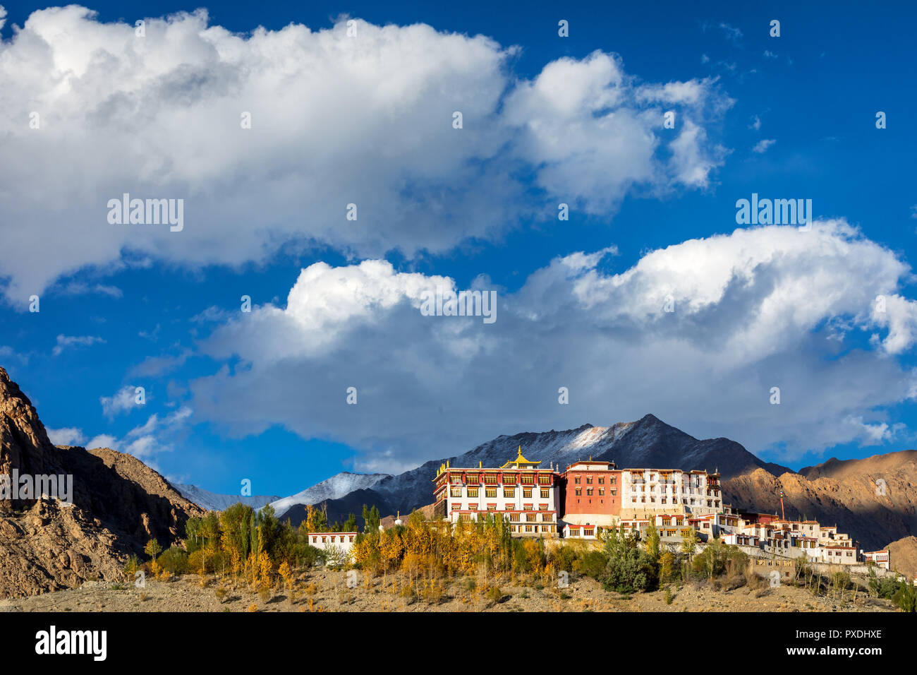Monastero di Phyang, Phyang (o Phiyang) Gompa, Ladakh, India Foto Stock