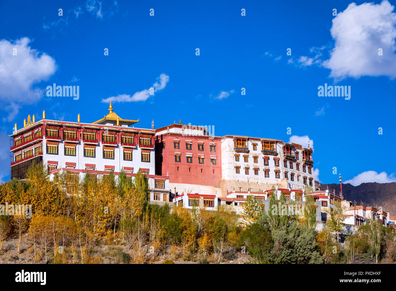 Monastero di Phyang, Phyang (o Phiyang) Gompa, Ladakh, India Foto Stock