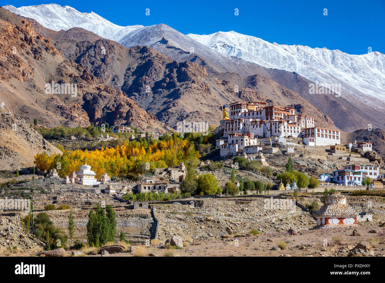 Likir monastero o Likir Gompa, Ladakh, Kashmir India Foto Stock