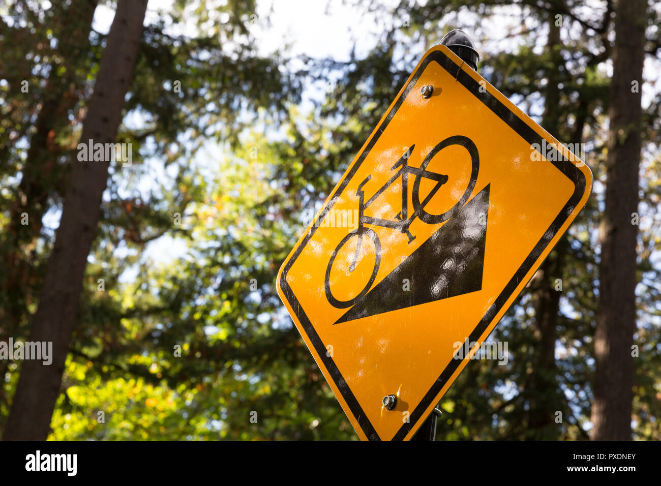 Seattle, Washington: Collina cartello di avviso per i ciclisti lungo il Washington Park Arboretum Loop Trail. Foto Stock