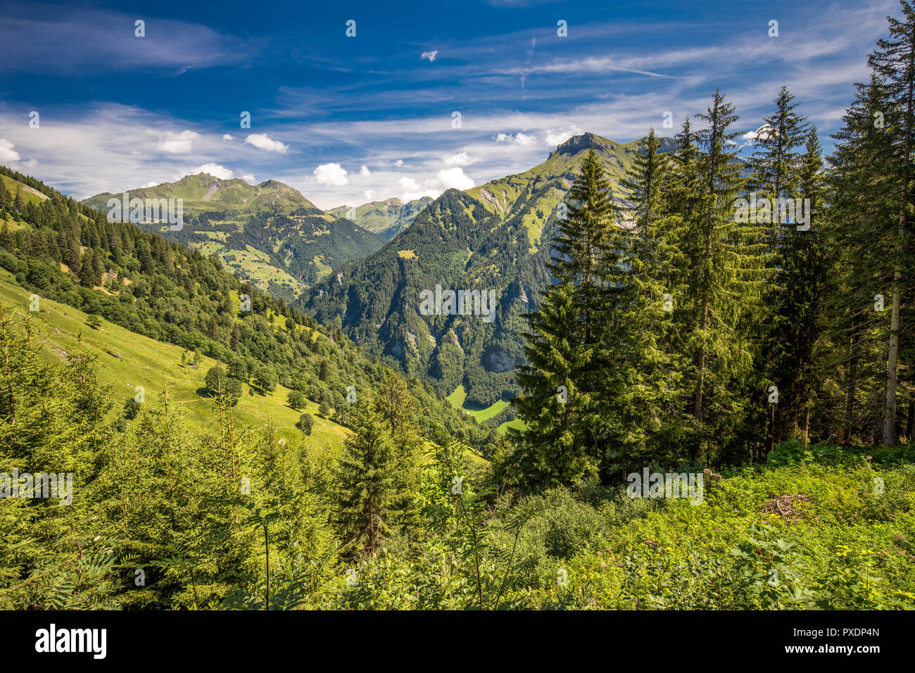 Vista del villaggio di Olmo e le montagne svizzere - Piz Segnas, Piz Sardona, Laaxr Stockli da Ampachli, Glarona, Svizzera, Europa. Foto Stock