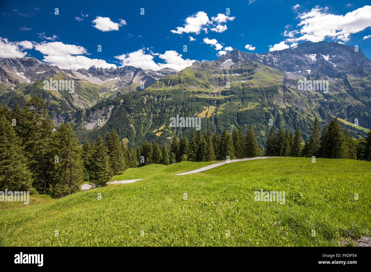 Vista delle montagne svizzere - Piz Segnas, Piz Sardona, Laaxr Stockli da Ampachli, Glarona, Svizzera, Europa. Foto Stock
