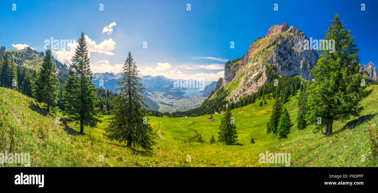 Bella estate paesaggio della Svizzera con Grosser Mythen mountain e prati verdi, Ibergeregg, Svizzera, Europa. Foto Stock