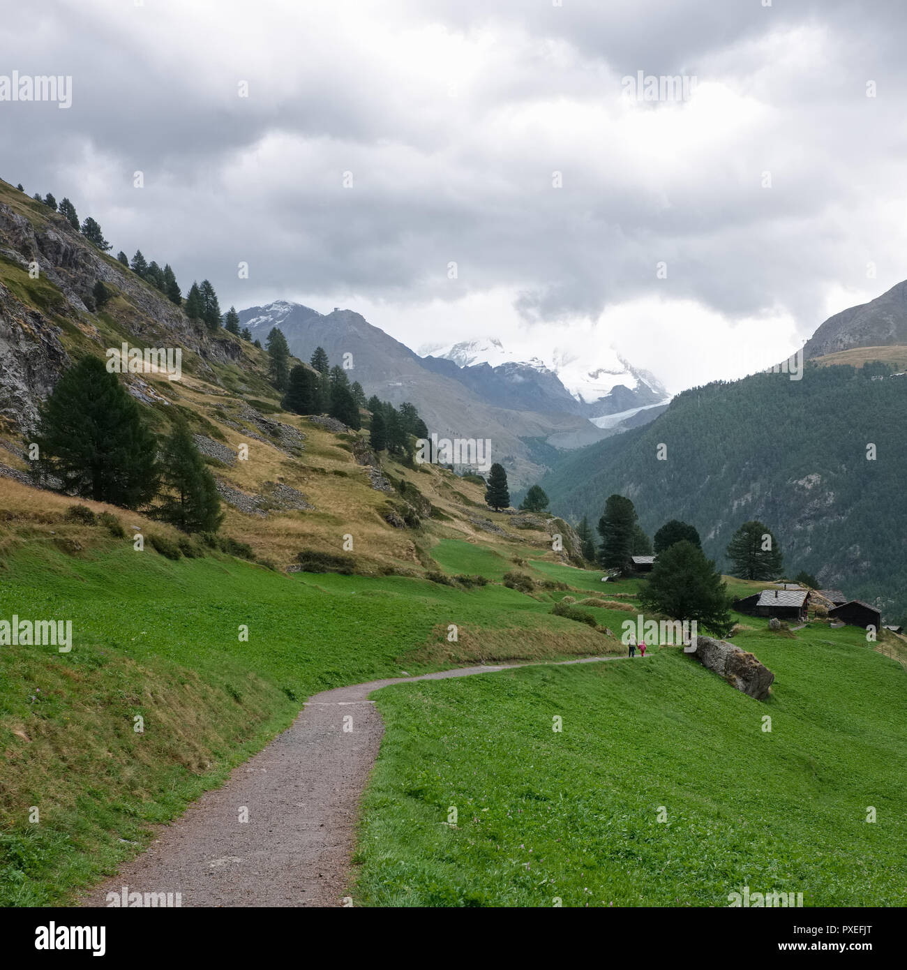 Un alpine sentiero escursionistico al di fuori del villaggio di Z'Mutt, lunedì 24 agosto 2015, vicino a Zermatt, Svizzera. Il possente Monte Rosa massiccio è nella parte posteriore Foto Stock