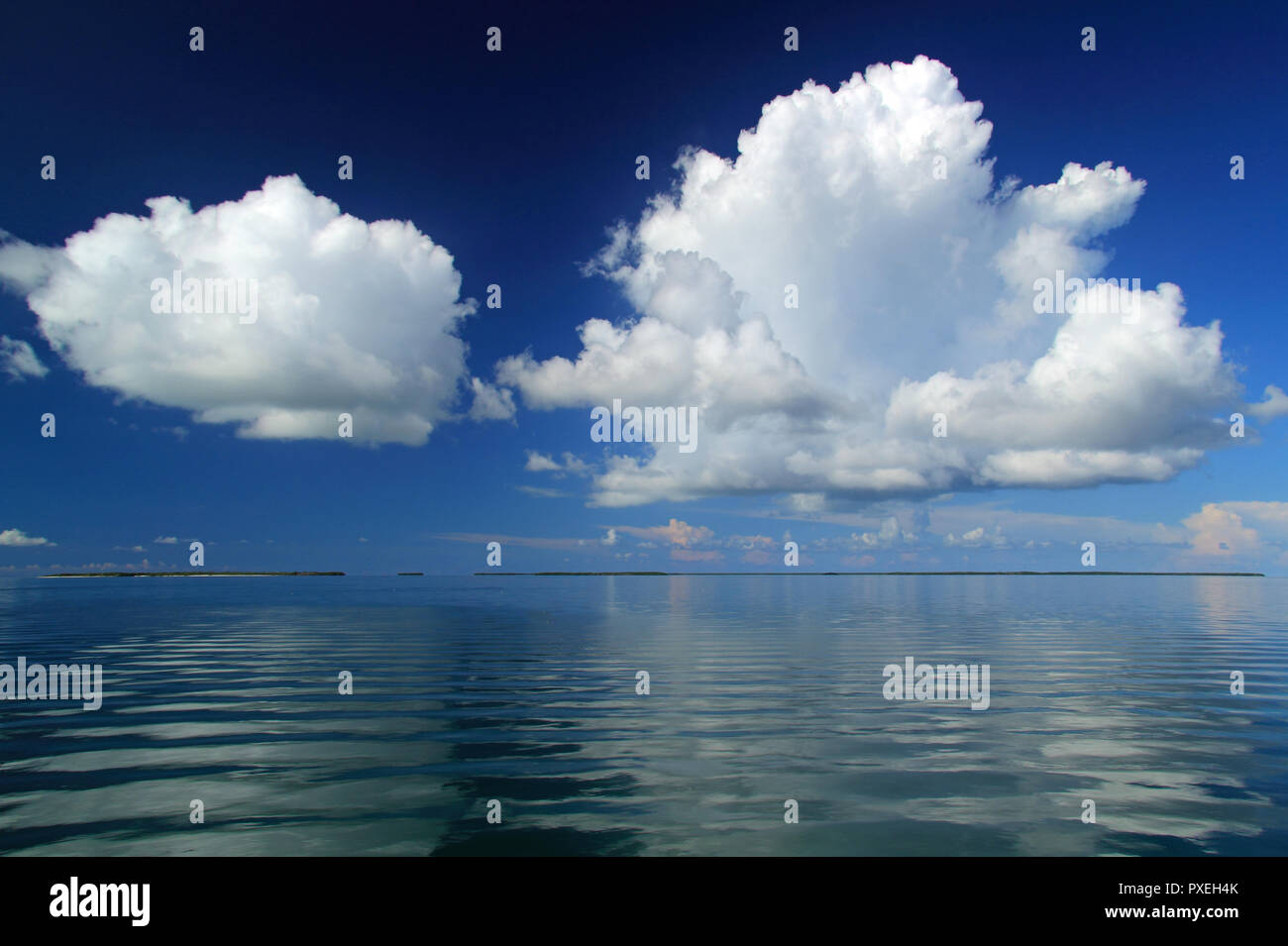 Tasti marchesi paesaggio, Florida Keys Foto Stock