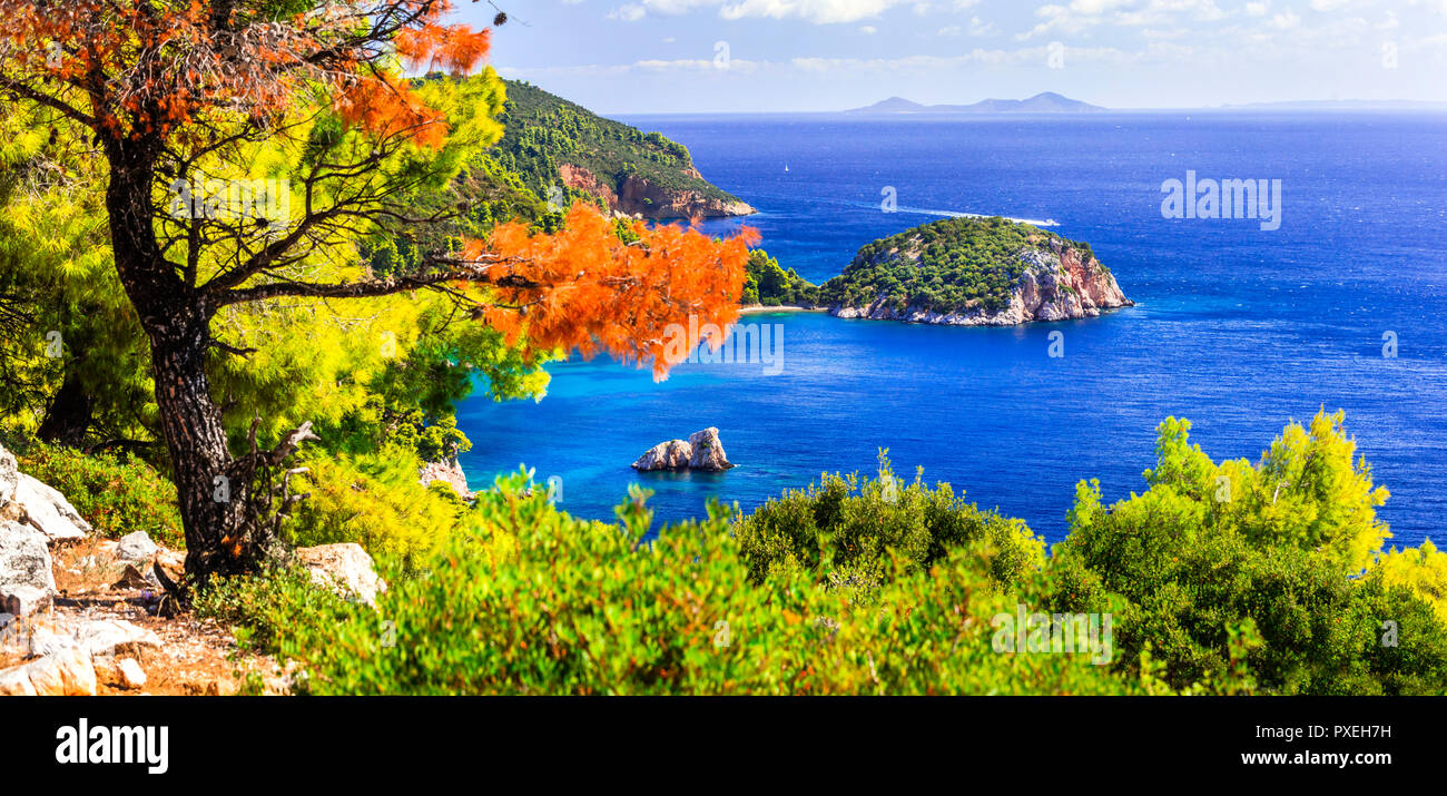 Pittoresca baia di Stafilos,famosa spiaggia di Skopelos Island, Grecia. Foto Stock