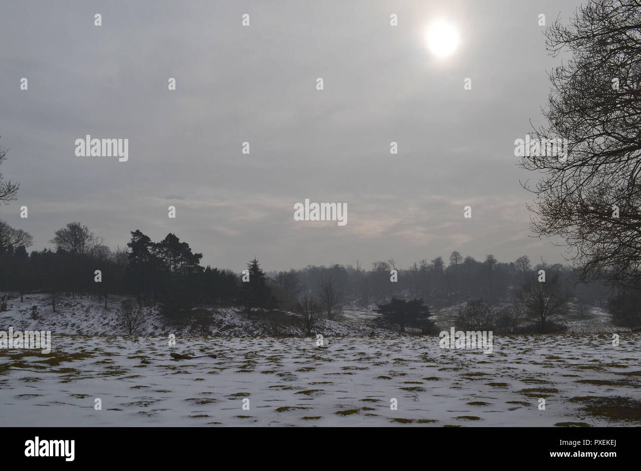 National Trust è Knole Park, Sevenoaks, Kent, Regno Unito su un nevoso, nebbioso giorno nel marzo 2018. Kent Downs Area di straordinaria bellezza naturale. Foto Stock