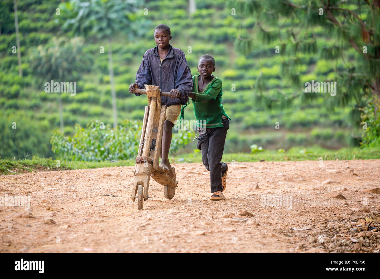 Ragazzi in legno fatti a mano uno scooter vicino alla Foresta impenetrabile di Bwindi, Uganda Foto Stock