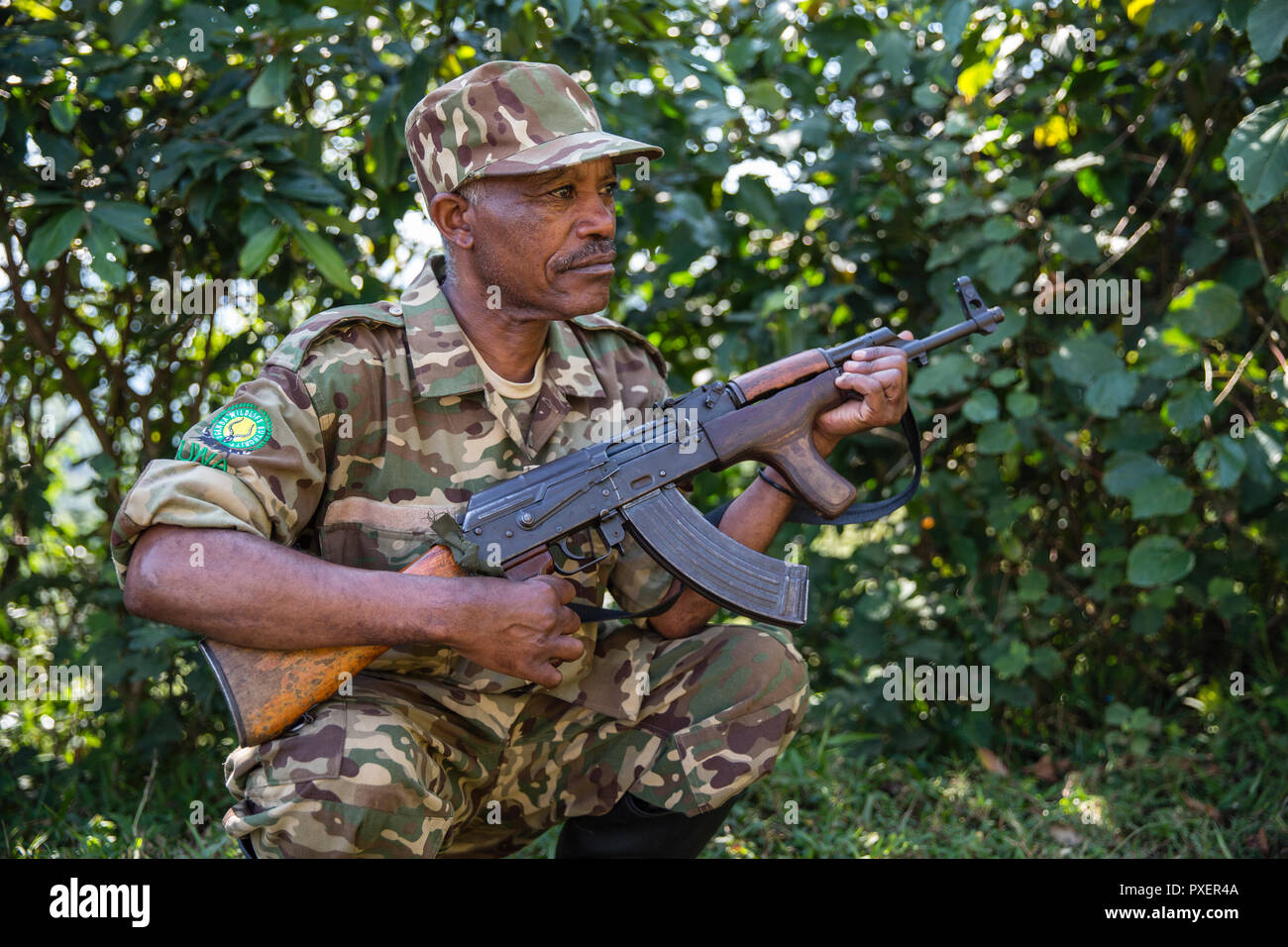 Le guardie armate dal Governo dell'Uganda Wildlife Authority nella Foresta impenetrabile di Bwindi, Uganda Foto Stock