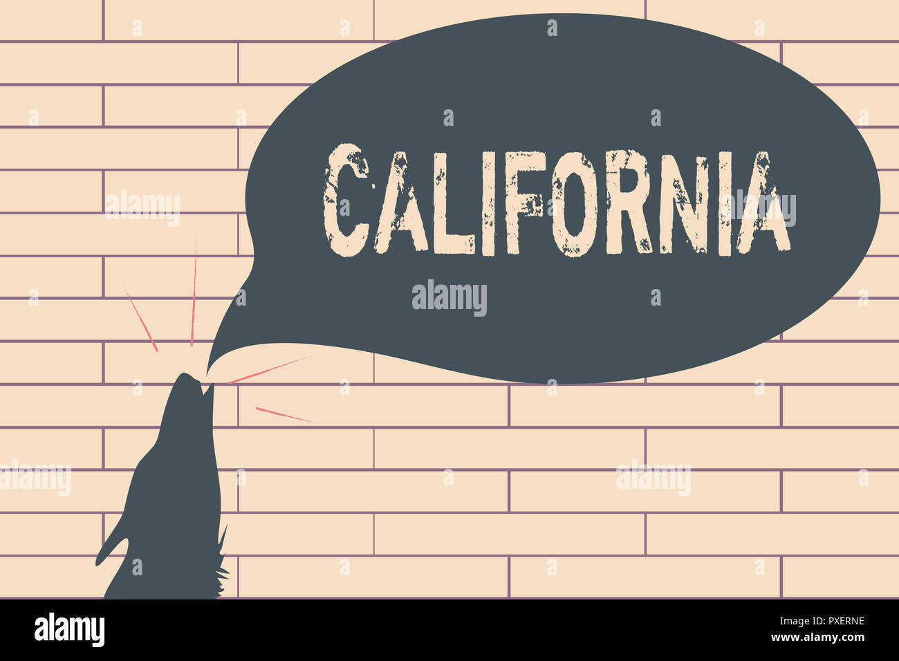 La grafia la scrittura di testo in California. Concetto significato stato  sulla costa occidentale degli Stati Uniti d'America spiagge di Hollywood  Foto stock - Alamy