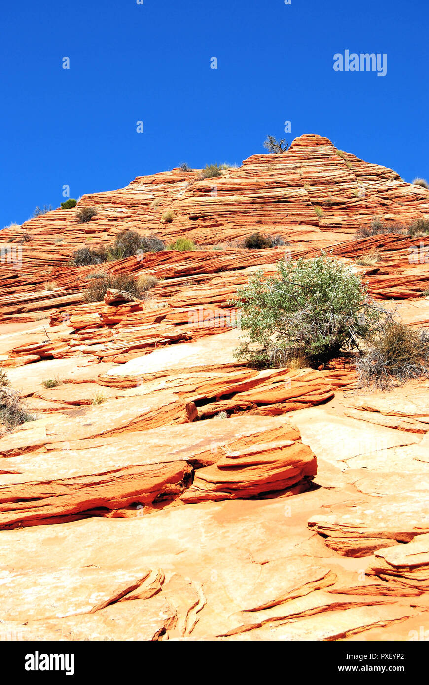 Un vecchio giallo butte di rocce sedimentarie nel deserto arido, con un cielo blu chiaro, in Coyte Buttes, Vermillion Cliffs National Monument, Arizona, Stati Uniti. Foto Stock