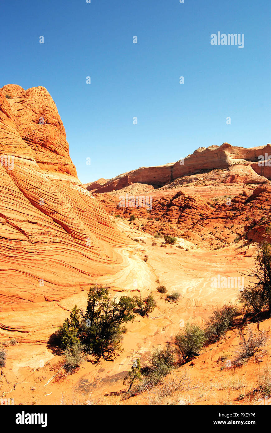 Un vecchio giallo butte di rocce sedimentarie nel deserto arido, con un cielo blu chiaro, in Coyte Buttes, Vermillion Cliffs National Monument, Arizona, Stati Uniti. Foto Stock