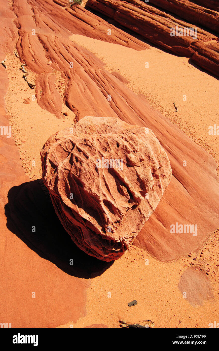 Primo piano di un vecchio e giallo-arancione arenaria Navajo in Coyote Buttes sul deserto di sabbia, in Vermillion Cliffs National Monument, Arizona, Stati Uniti d'America Foto Stock