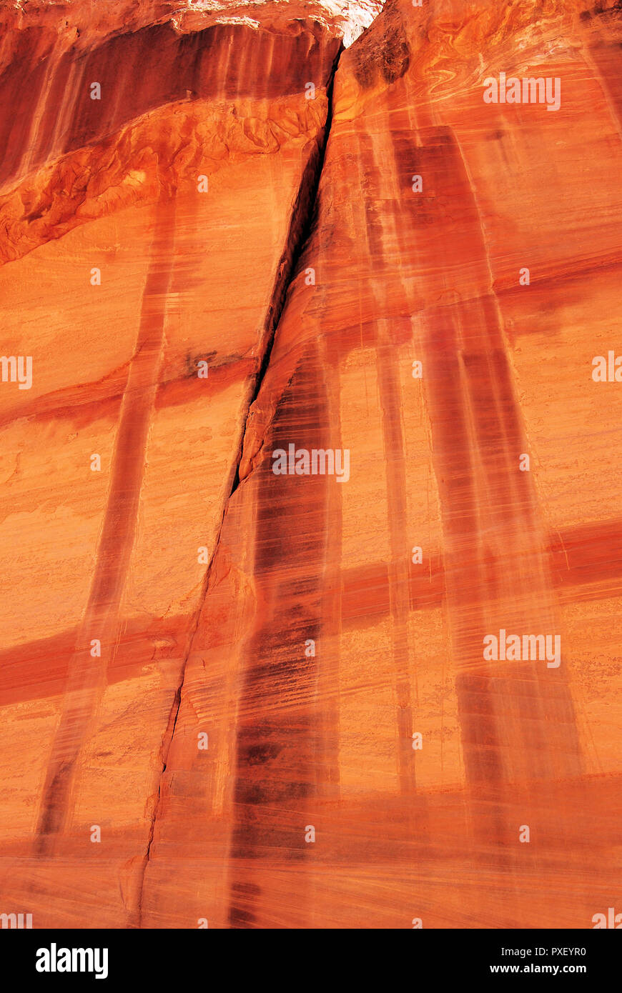 Il primo piano di un vecchio marrone scuro, rosso e arancio Navajo parete in pietra arenaria, con una griglia di naturale, in Vermillion Cliffs National Monument, Arizona, Stati Uniti d'America Foto Stock