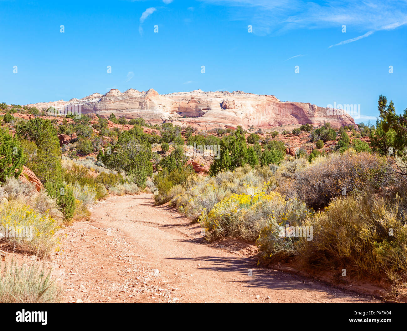 A partire l'escursione verso il basso passa filo a filo Pass sentiero nella soleggiata giornata autunnale, Paria Canyon-Vermilion scogliere deserto vicino al Utah-Arizona bord Foto Stock