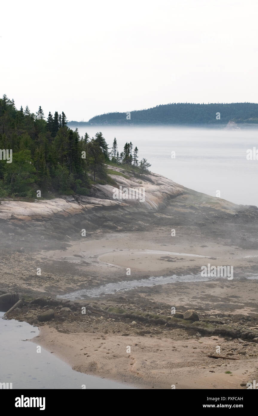 Splendido e aspro litorale nel nord del Québec in Canada in verticale Foto Stock