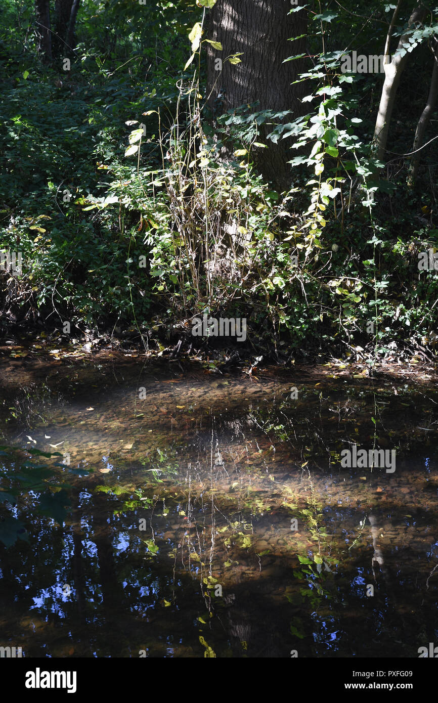 The River Darent, Shoreham, Kent. REGNO UNITO Foto Stock