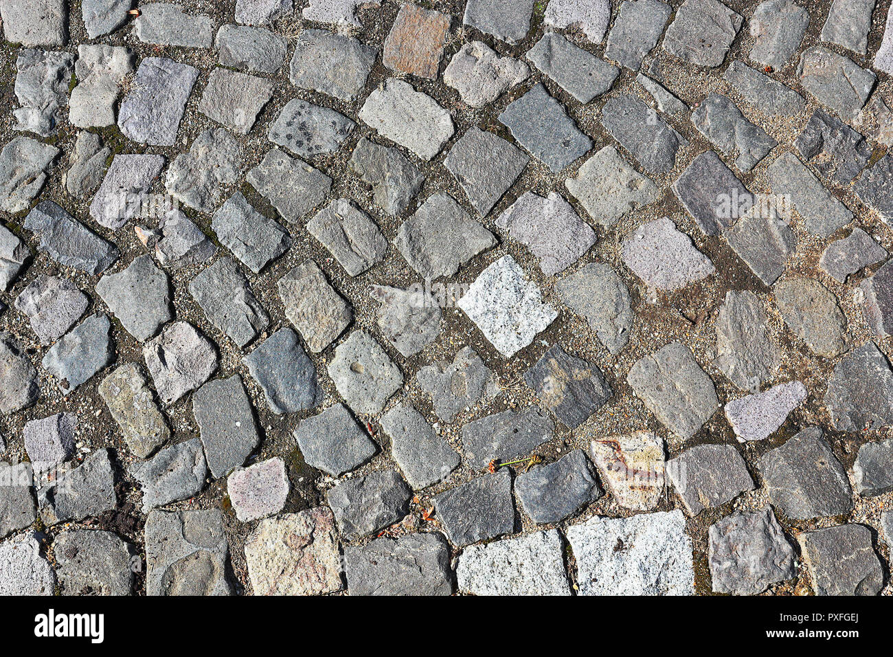 Cubic pavimentazione di pietra sulla strada, di consistenza per il tuo design Foto Stock