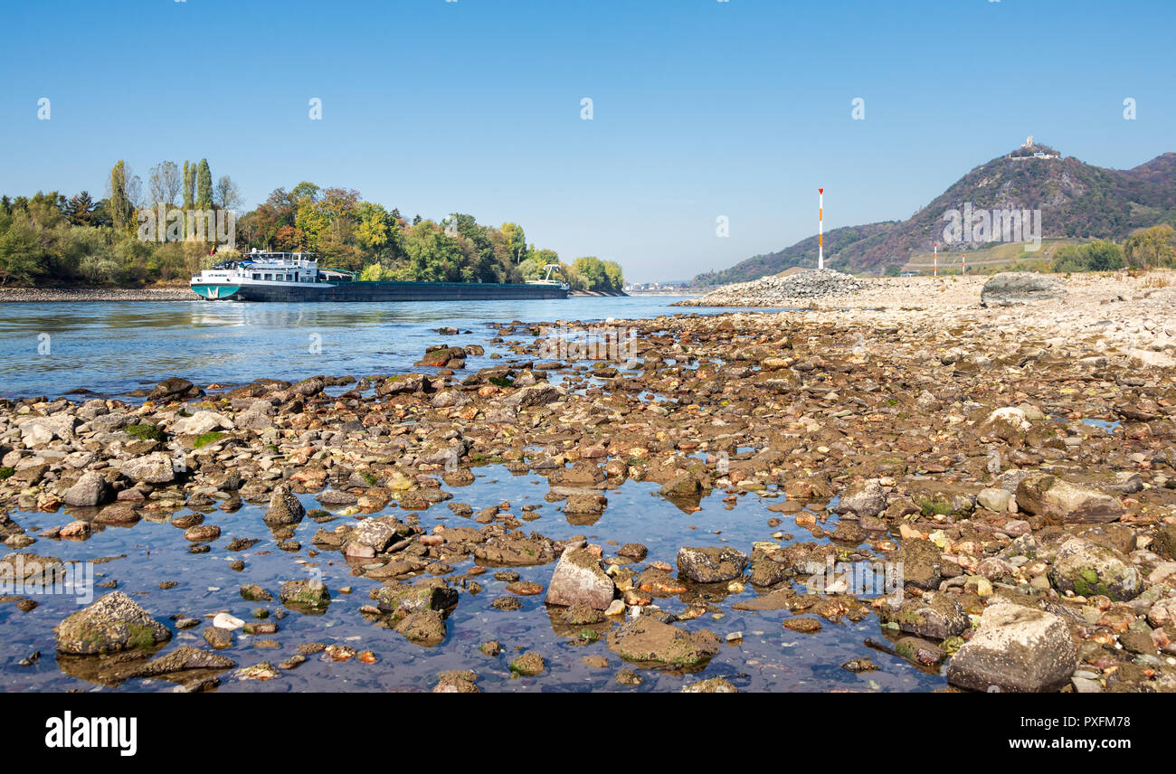 Nave per la navigazione interna sul asciugata fiume Reno con un basso livello di acqua, causata da una prolungata siccità 2018, da Bad Honnef e Drachenfels, Germania Foto Stock