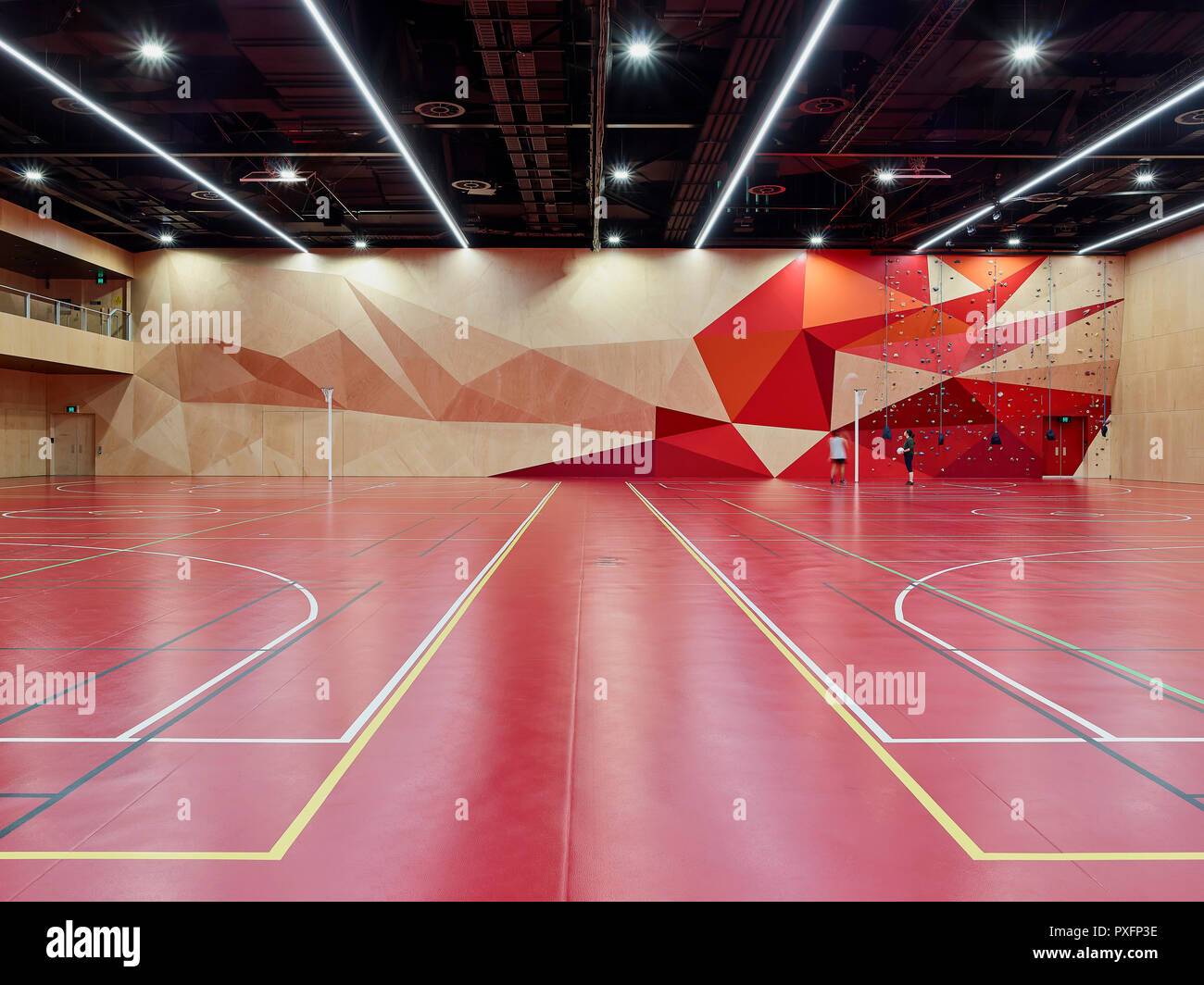 Sala principale in campo sportivo modalità. Pridham Hall, Adelaide, Australia. Architetto: Snøhetta e JPE Design Studio, 2018. Foto Stock