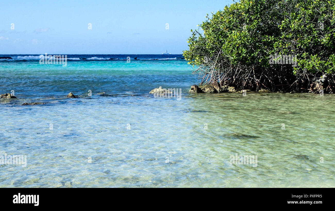 Onde che si infrangono sulla barriera corallina sulla spiaggia poco profonda in Aruba Foto Stock