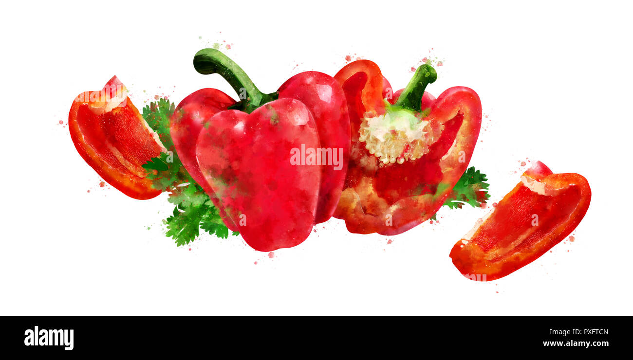 Peperone rosso su sfondo bianco. Illustrazione ad acquerello Foto Stock